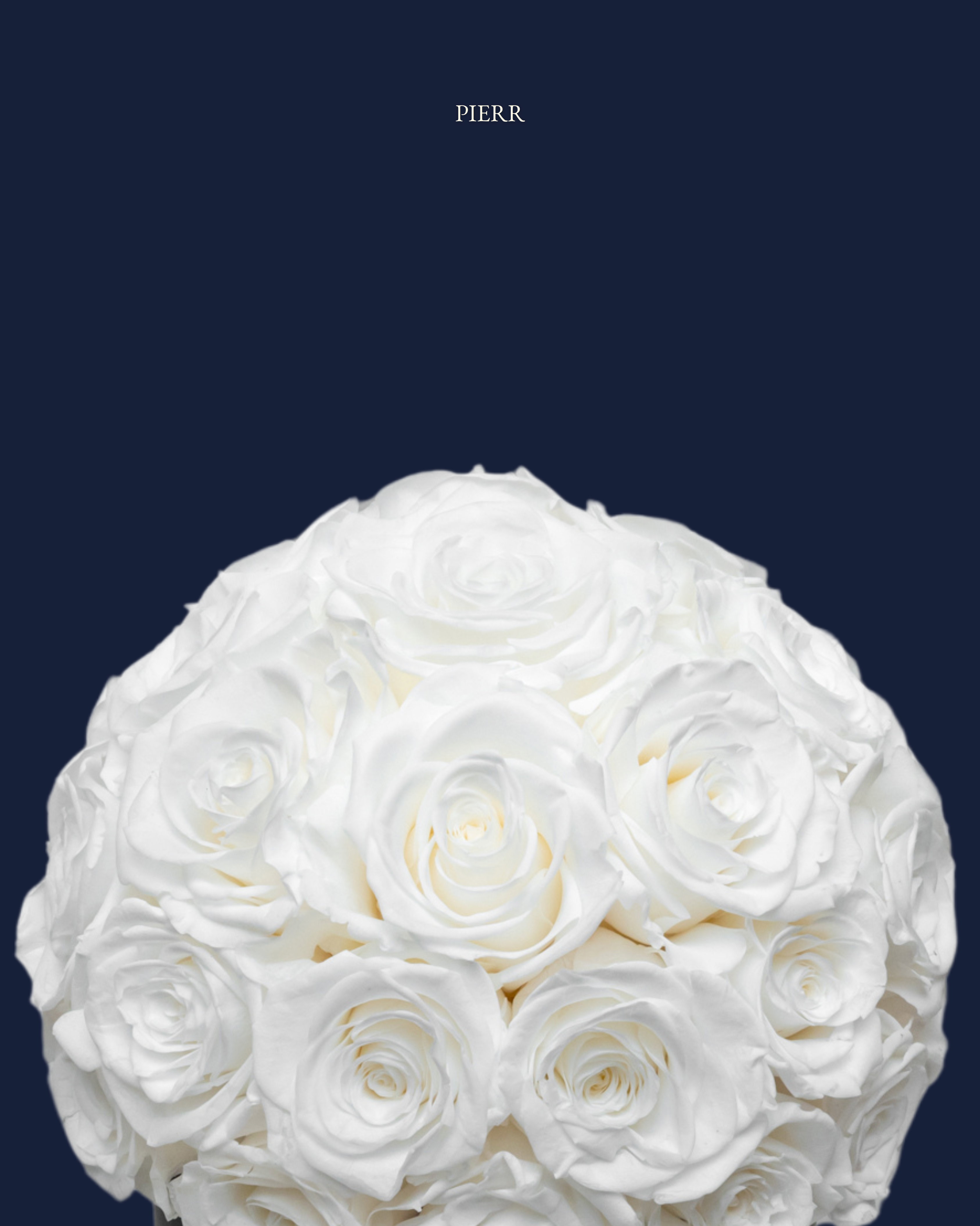 Twenty Preserved Roses