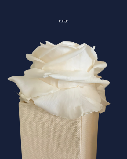 Single Preserved Rose