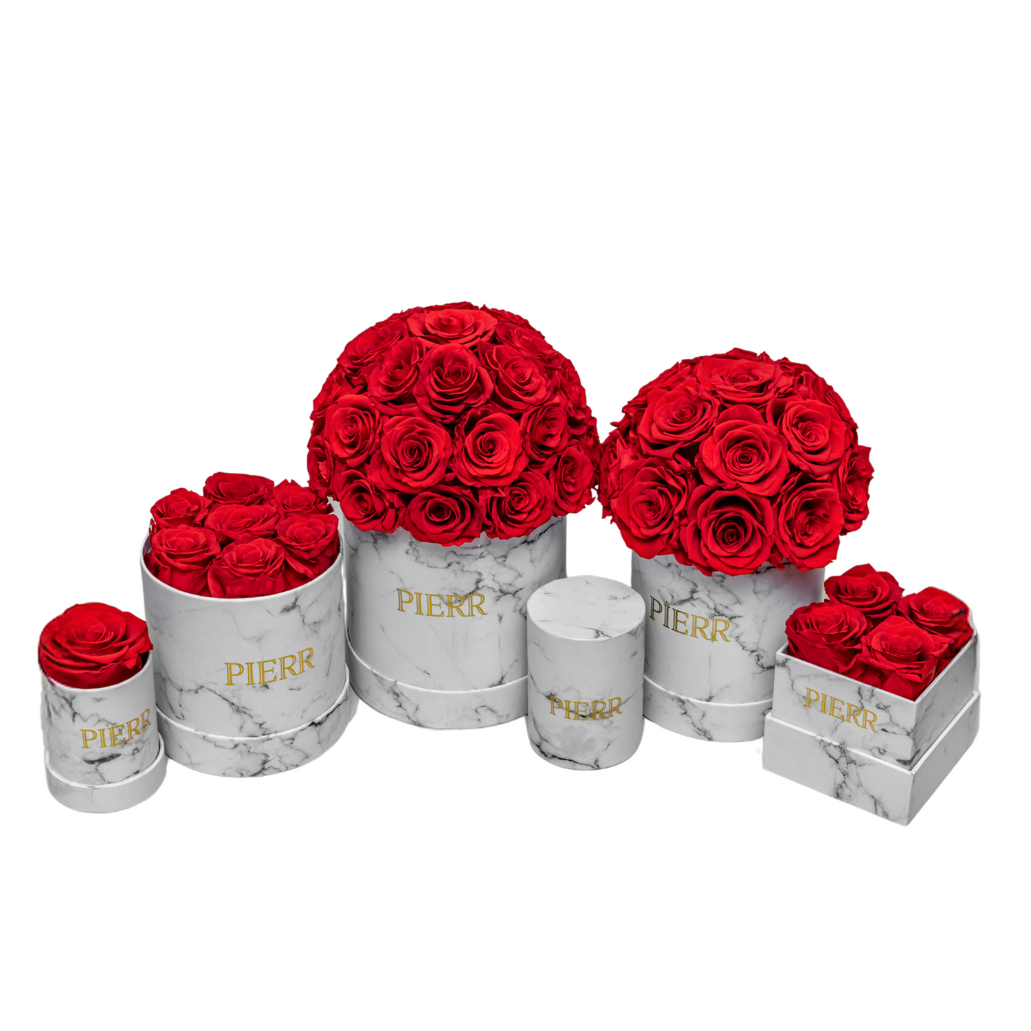 Four Preserved Roses