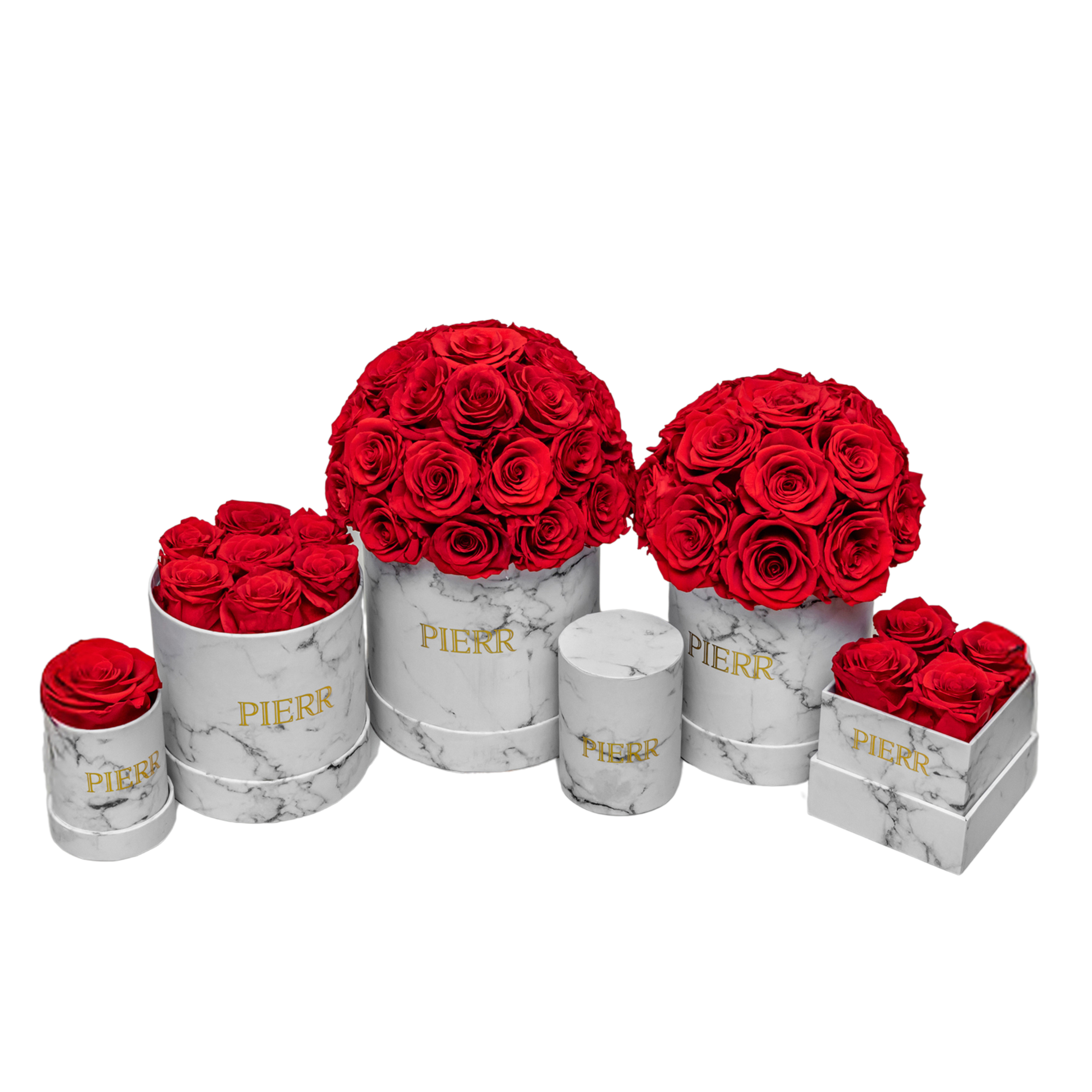 Four Preserved Roses