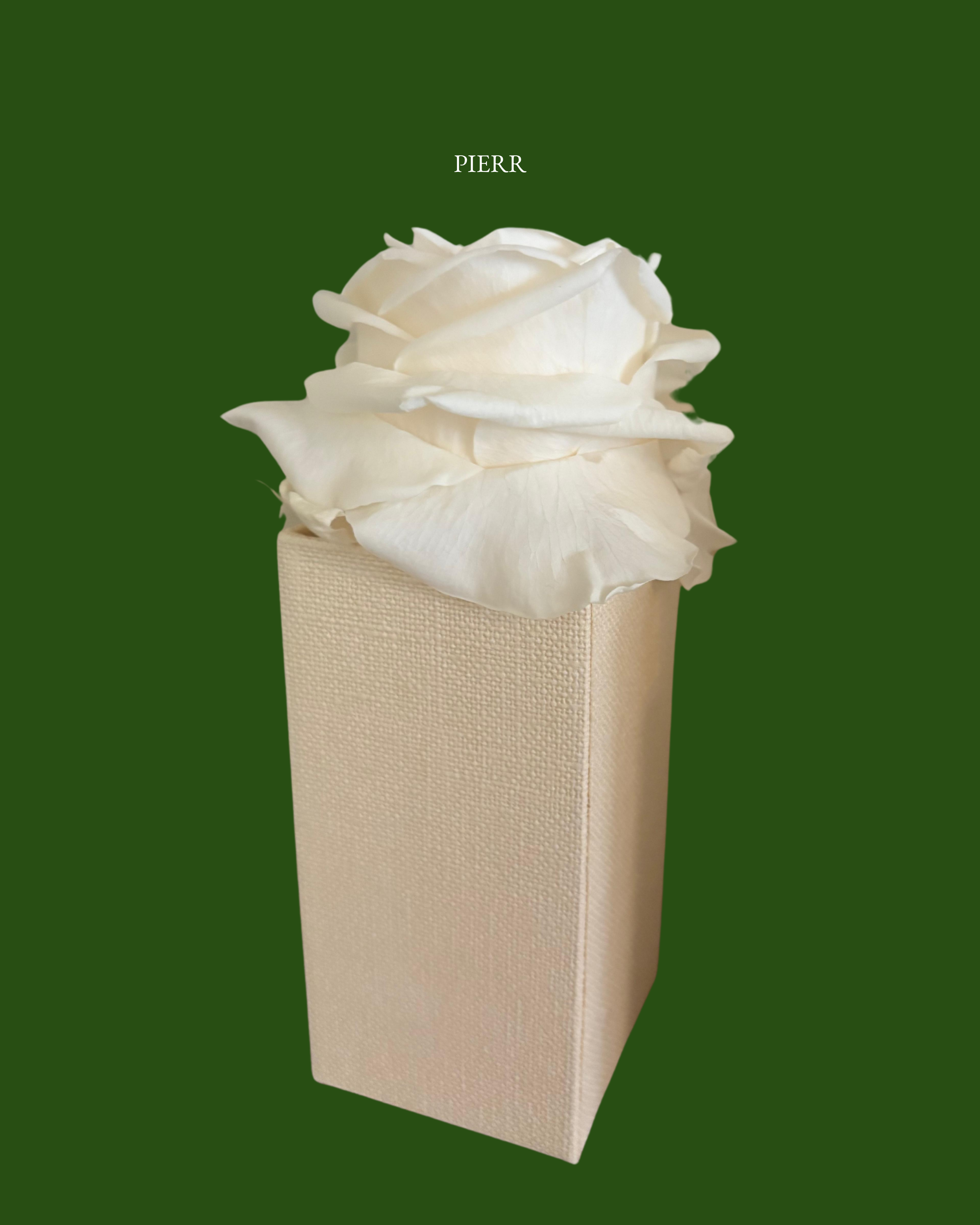 Single Preserved Rose