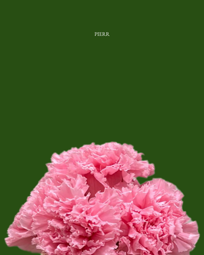 Single Preserved Rose
