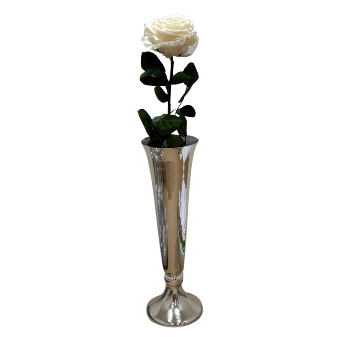 Roses with Stem