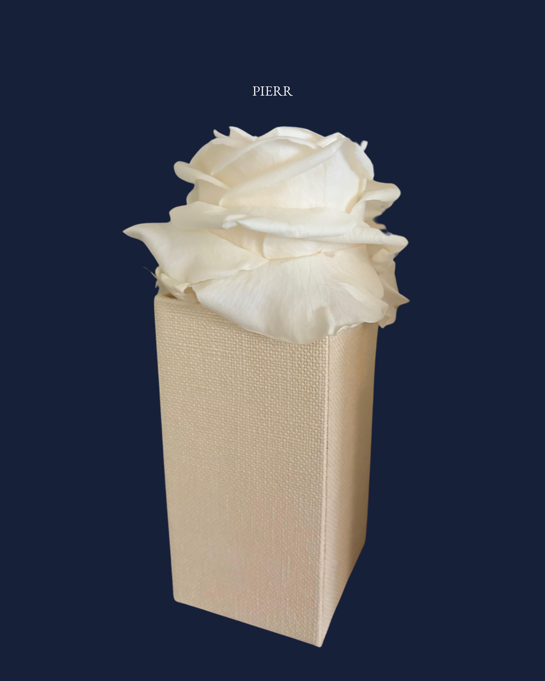 Single Preserved Rose